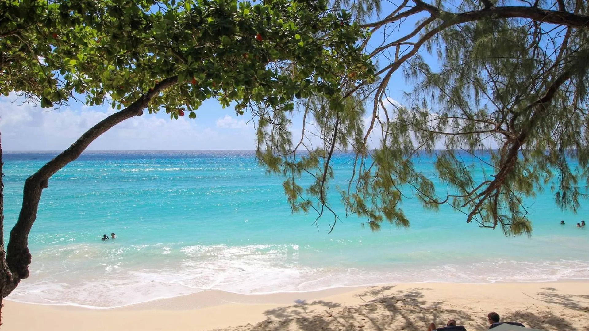 Charming 2 Bedroom Apt On Gorgeous Quiet Beach - Sea Star 3 Apts Bridgetown